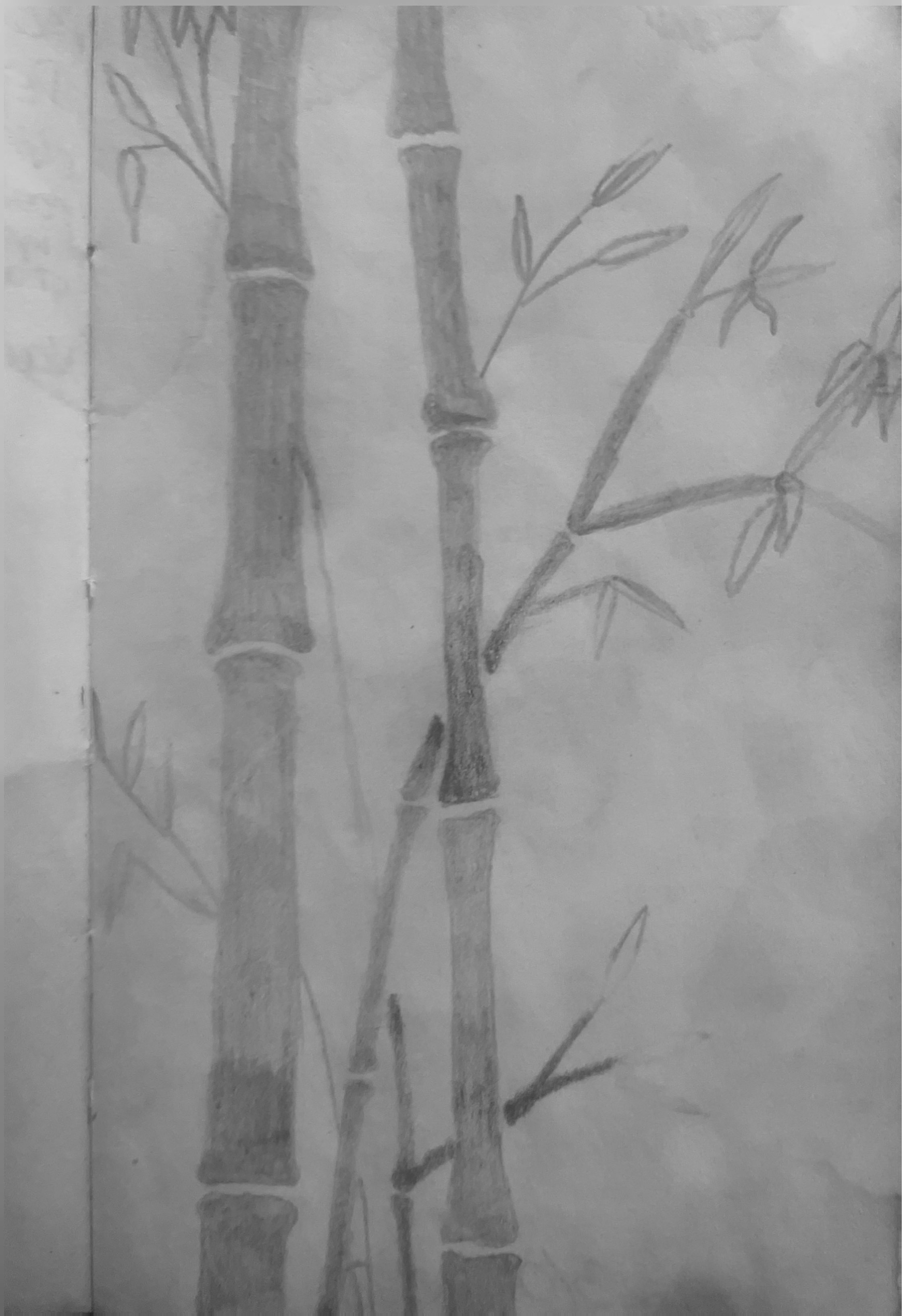 Desenho 13