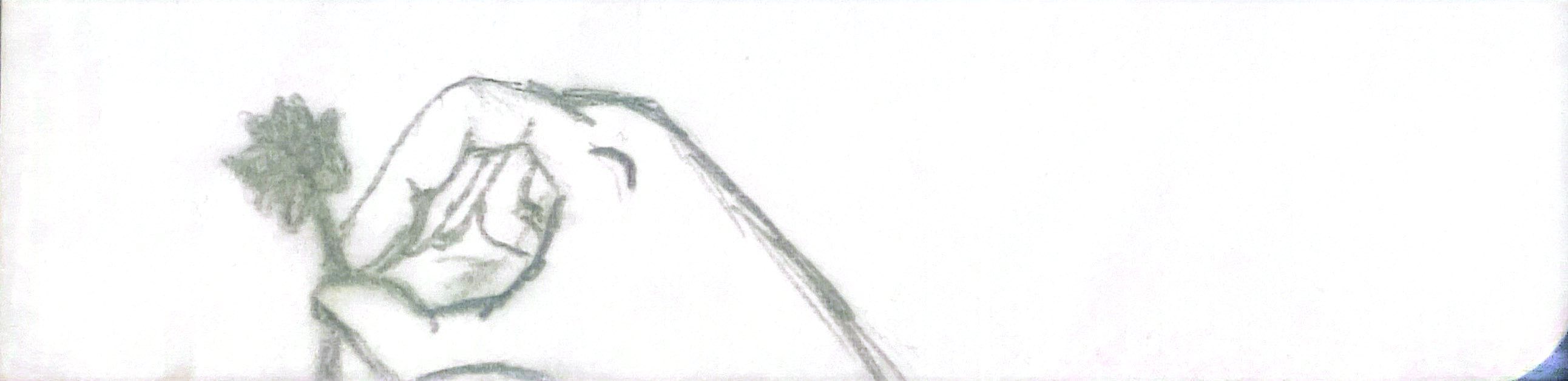 Desenho 12